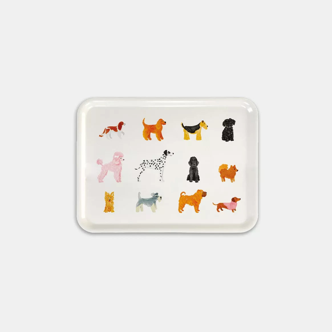 Dogue – Plateau Petit-déjeuner