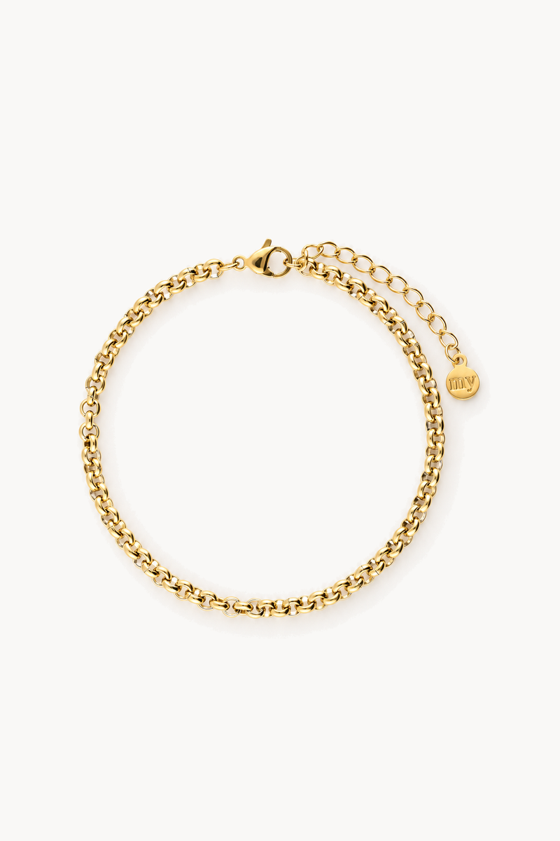 Iconic bracelet with fine links