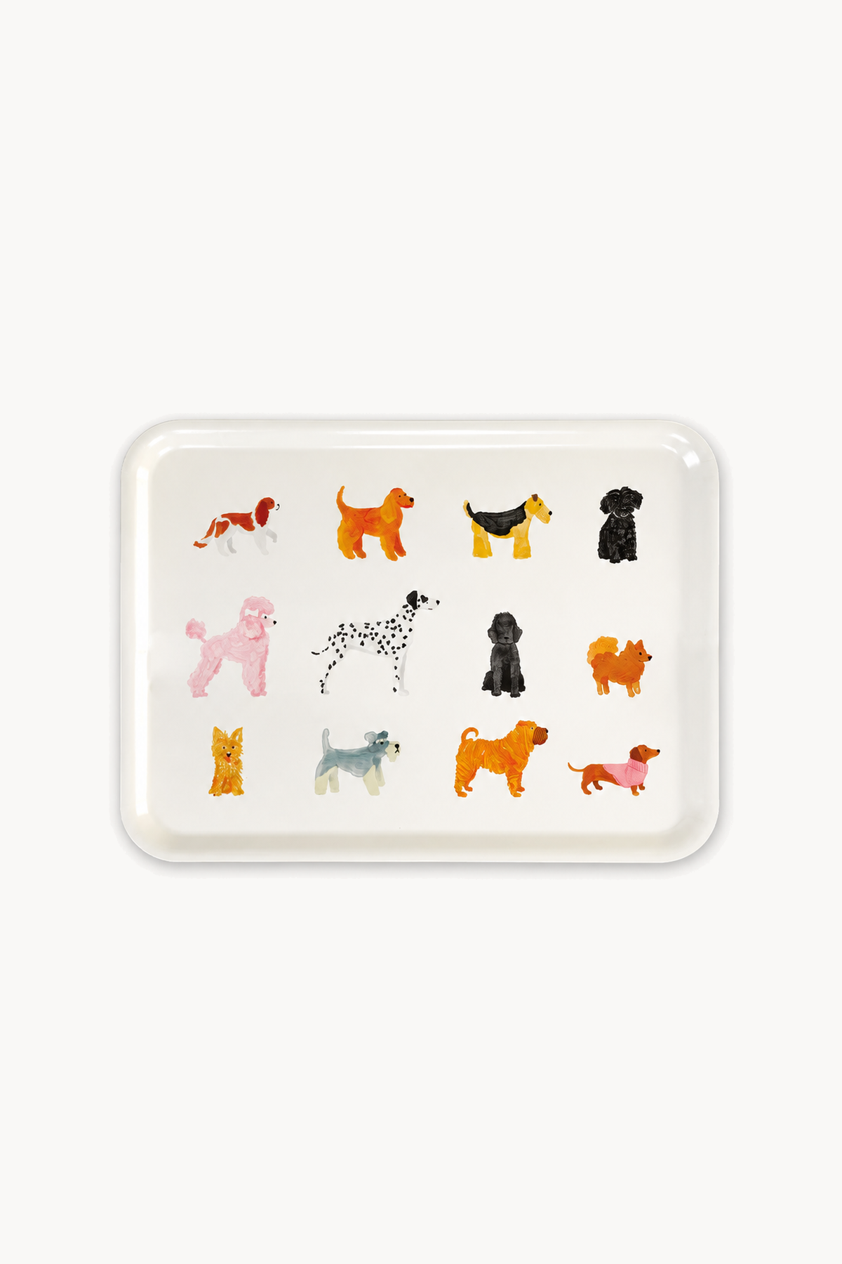 Dogue – Plateau Petit-déjeuner, de face sur fond blanc cassé