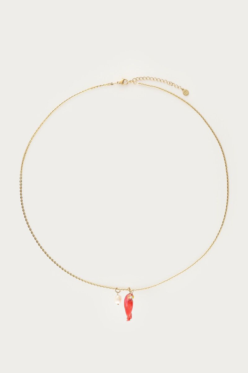 Collier Tropical perroquet