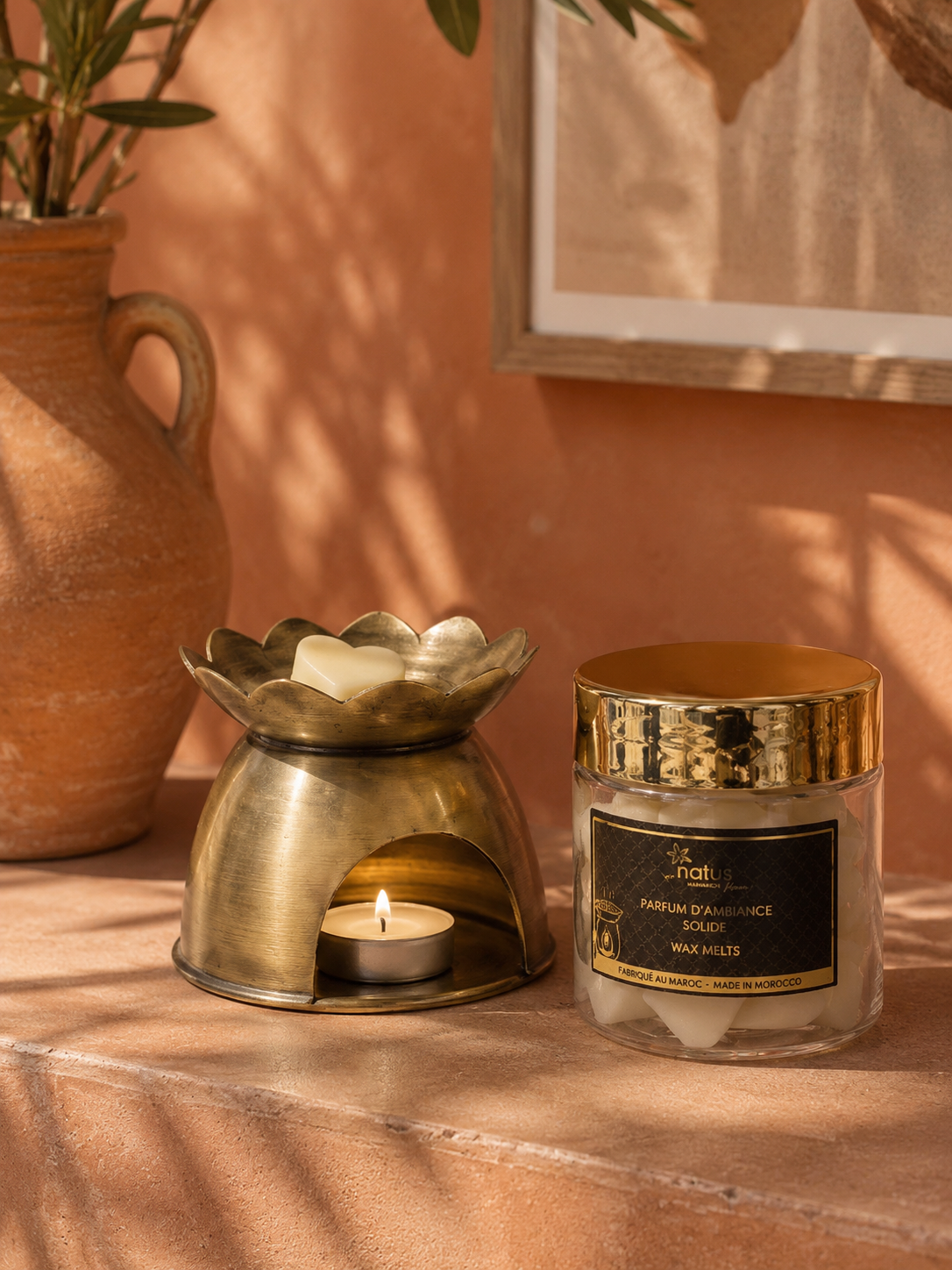 Parfum d'Ambiance Solide 100G Pot