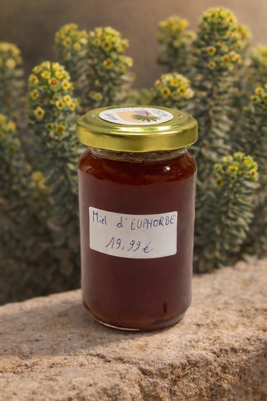 Miel d'euphorbe - Daghmous